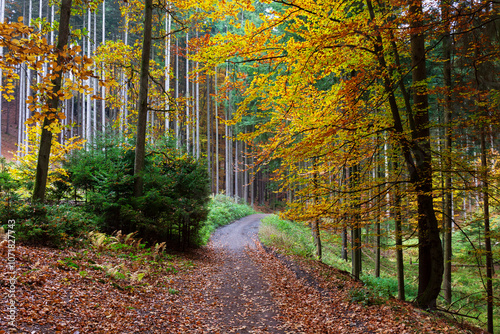 Obraz na płótnie Colorful autumn Landscape in Bohemian Paradise, Czech Republic w salonie