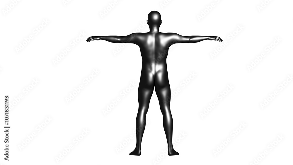 Black Male Mannequin in T-Pose Isolated on Transparent Background. Back View. Black Male Mannequin in T-Pose Isolated on Transparent Background. Back View.