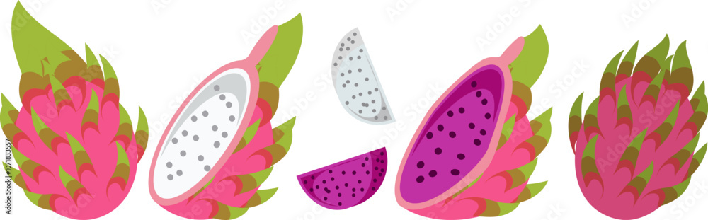 Tropical Dragon Fruit Illustration Whole and Sliced, White and Red Variants Tropical Dragon Fruit Illustration Whole and Sliced, White and Red Variants