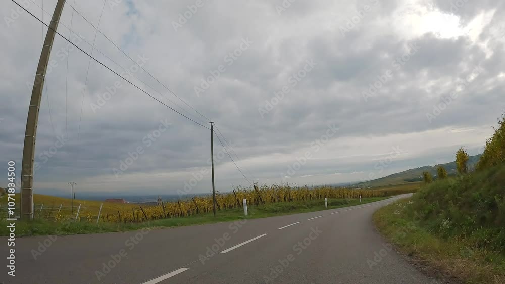 Driving through vineyards in Alsace in France Driving through vineyards in Alsace in France