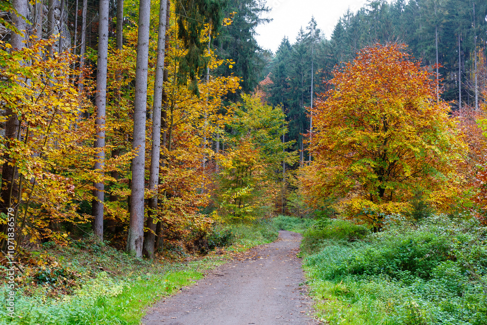 Colorful autumn Landscape in Bohemian Paradise, Czech Republic
