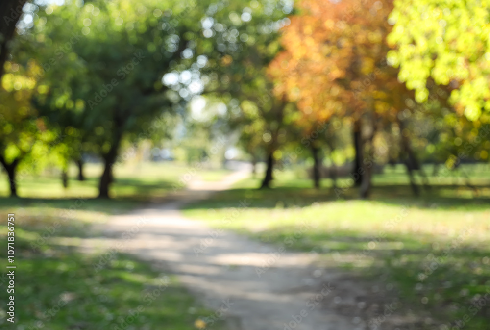 Ground pathway in beautiful autumn park, blurred view Ground pathway in beautiful autumn park, blurred view