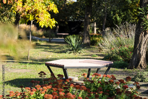 Beautiful autumn park with ...