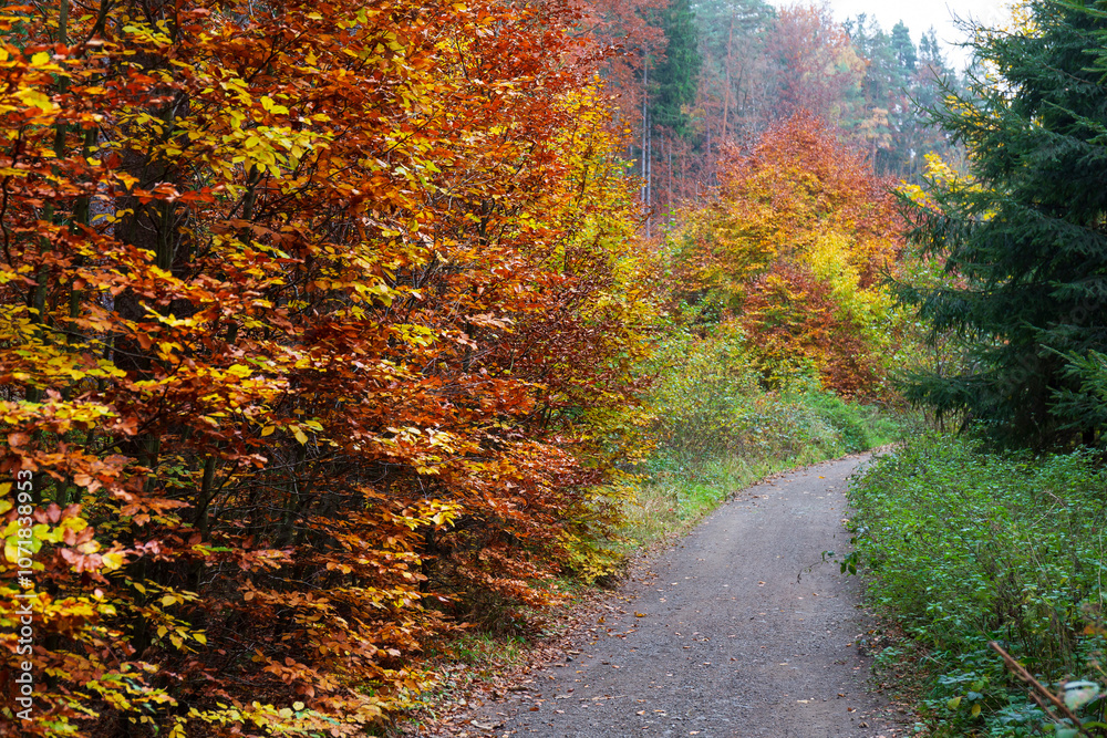 Colorful autumn Landscape in Bohemian Paradise, Czech Republic