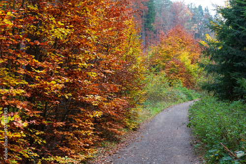 Obraz na płótnie Colorful autumn Landscape in Bohemian Paradise, Czech Republic w salonie