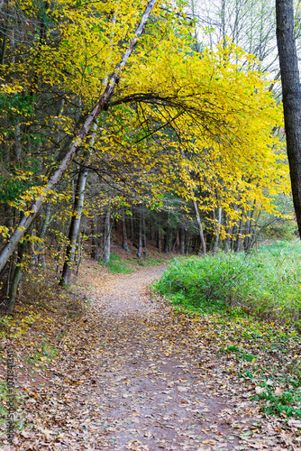 Colorful autumn Landscape in Bohemian Paradise, Czech Republic 