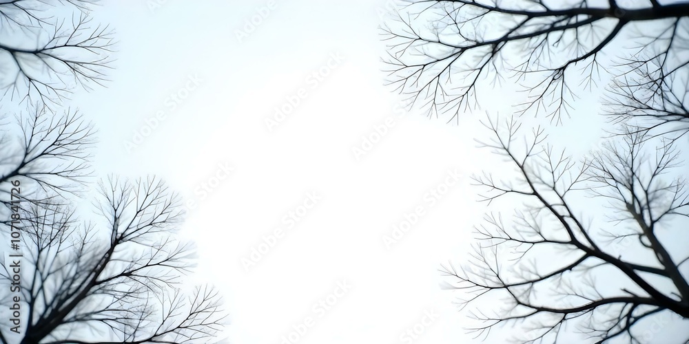 Obraz premium A snowy winter landscape with bare tree branches in the foreground against a blurred, overcast sky.