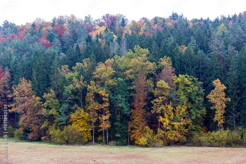 Colorful autumn Landscape in Bohemian Paradise, Czech Republic