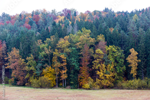 Obraz na płótnie Colorful autumn Landscape in Bohemian Paradise, Czech Republic w salonie