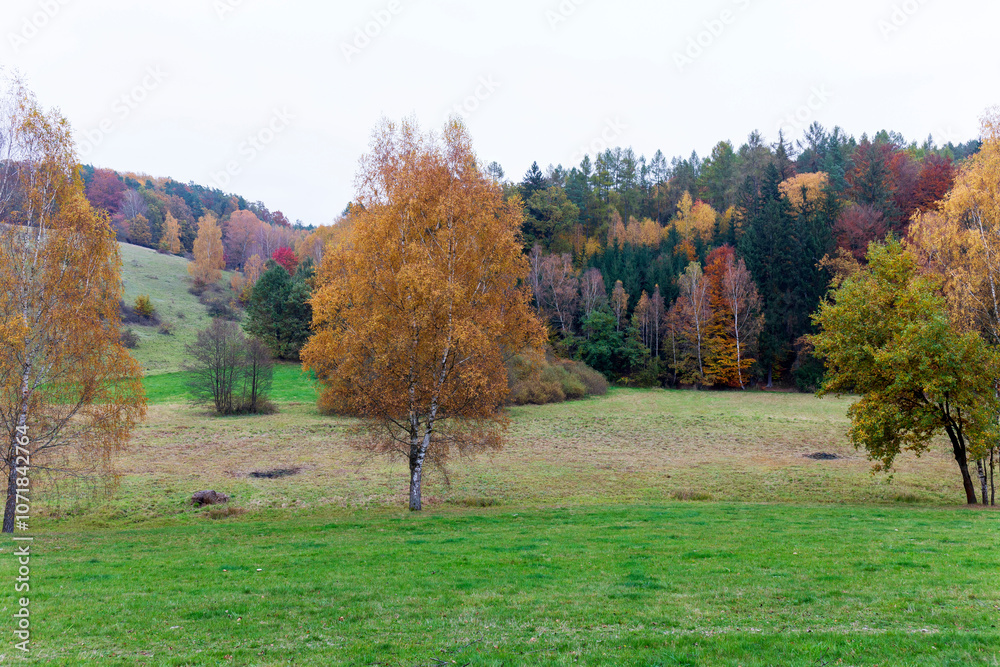 Colorful autumn Landscape in Bohemian Paradise, Czech Republic