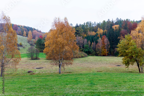 Obraz na płótnie Colorful autumn Landscape in Bohemian Paradise, Czech Republic w salonie