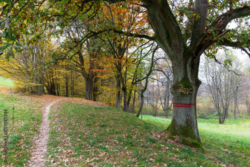 Obraz na płótnie Colorful autumn Landscape in Bohemian Paradise, Czech Republic w salonie