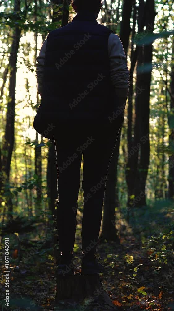 A boy in the forest. A boy enjoys a walk in the forest
A boy in the forest. A boy enjoys a walk in the forest
