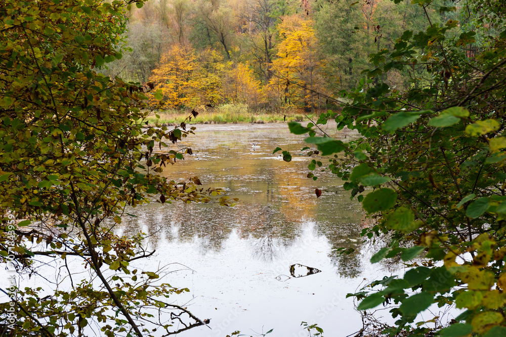 Colorful autumn Landscape in Bohemian Paradise, Czech Republic