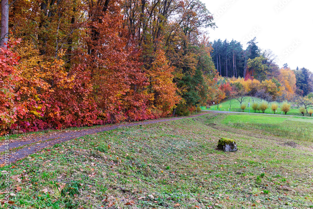 Colorful autumn Landscape in Bohemian Paradise, Czech Republic