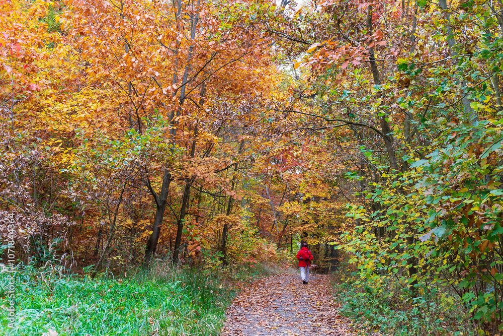 Colorful autumn Landscape in Bohemian Paradise, Czech Republic