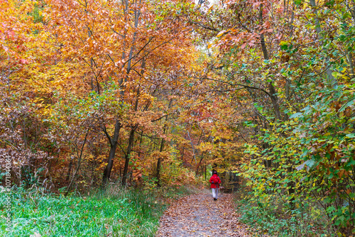 Obraz na płótnie Colorful autumn Landscape in Bohemian Paradise, Czech Republic w salonie
