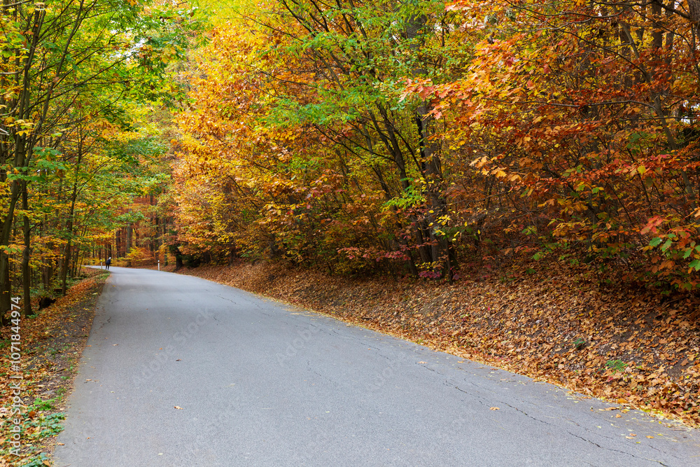 Colorful autumn Landscape in Bohemian Paradise, Czech Republic 