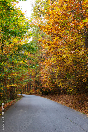 Obraz na płótnie Colorful autumn Landscape in Bohemian Paradise, Czech Republic w salonie