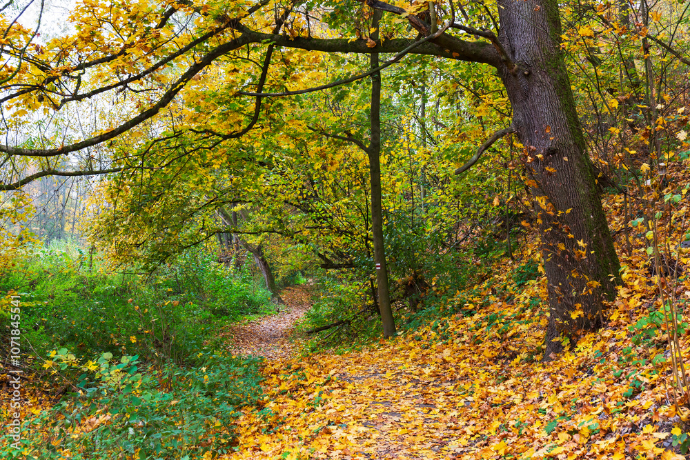 Colorful autumn Landscape in Bohemian Paradise, Czech Republic