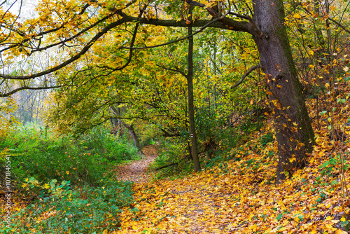 Obraz na płótnie Colorful autumn Landscape in Bohemian Paradise, Czech Republic w salonie