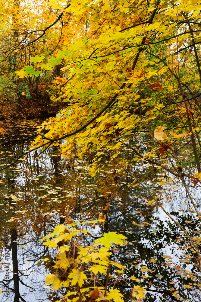 Colorful autumn Landscape in Bohemian Paradise, Czech Republic