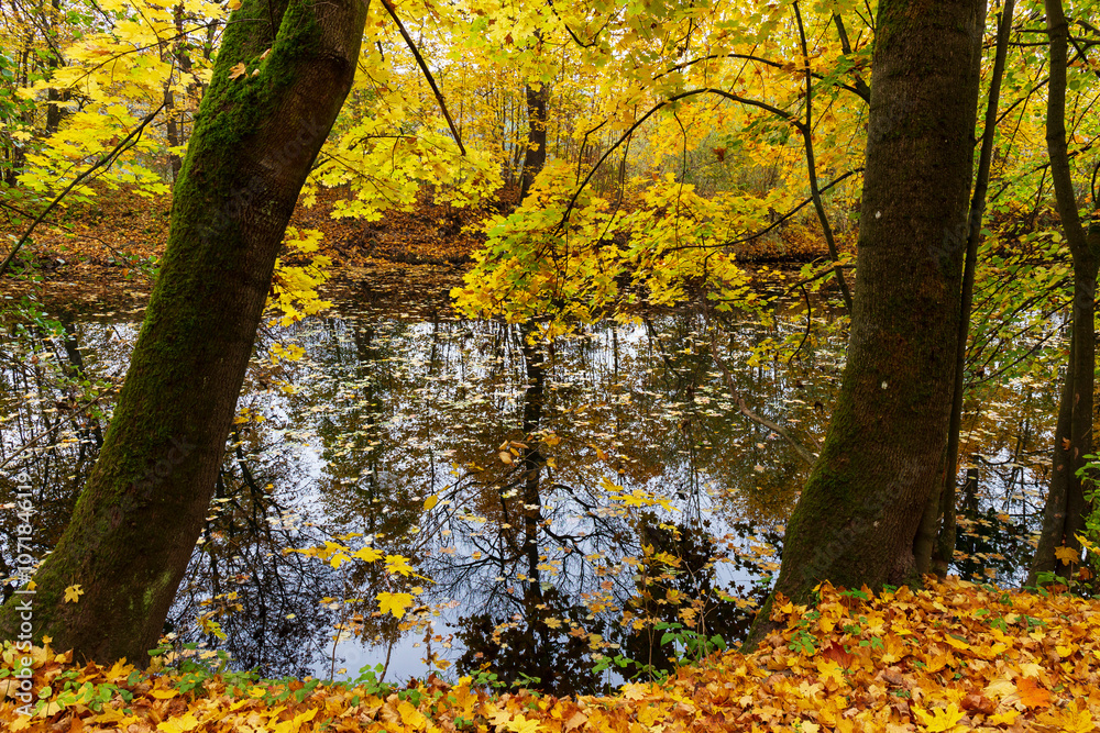 Colorful autumn Landscape in Bohemian Paradise, Czech Republic