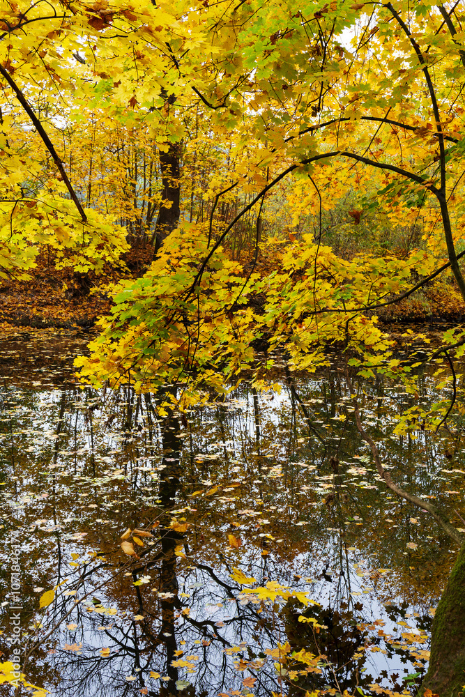 Colorful autumn Landscape in Bohemian Paradise, Czech Republic