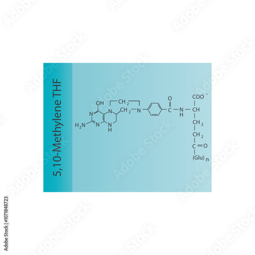 5,10-Methylene THF skeletal structure diagram.Vitamin B9 compound molecule scientific illustration.