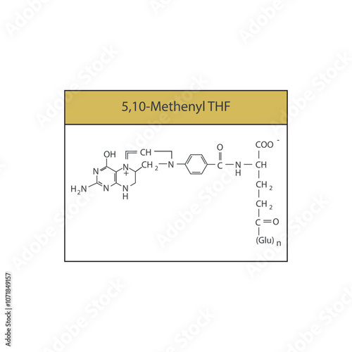 5,10-Methenyl THF skeletal structure diagram.Vitamin B9 compound molecule scientific illustration.