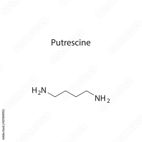 Putrescine skeletal structure diagram.Organic molecule compound molecule scientific illustration. photo