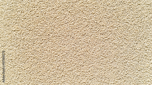 Wallpaper Mural Close-Up Texture of Small Beige Granules, Forming a Seamless Background Pattern Torontodigital.ca