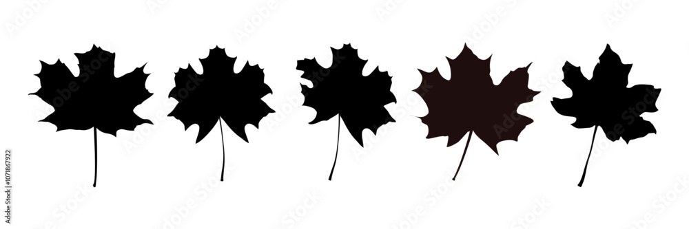 silhouettes of autumn maple leaves - vector illustration silhouettes of autumn maple leaves - vector illustration