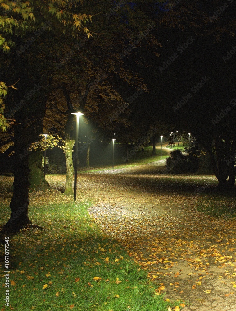 Obraz premium Illuminated Autumn Path