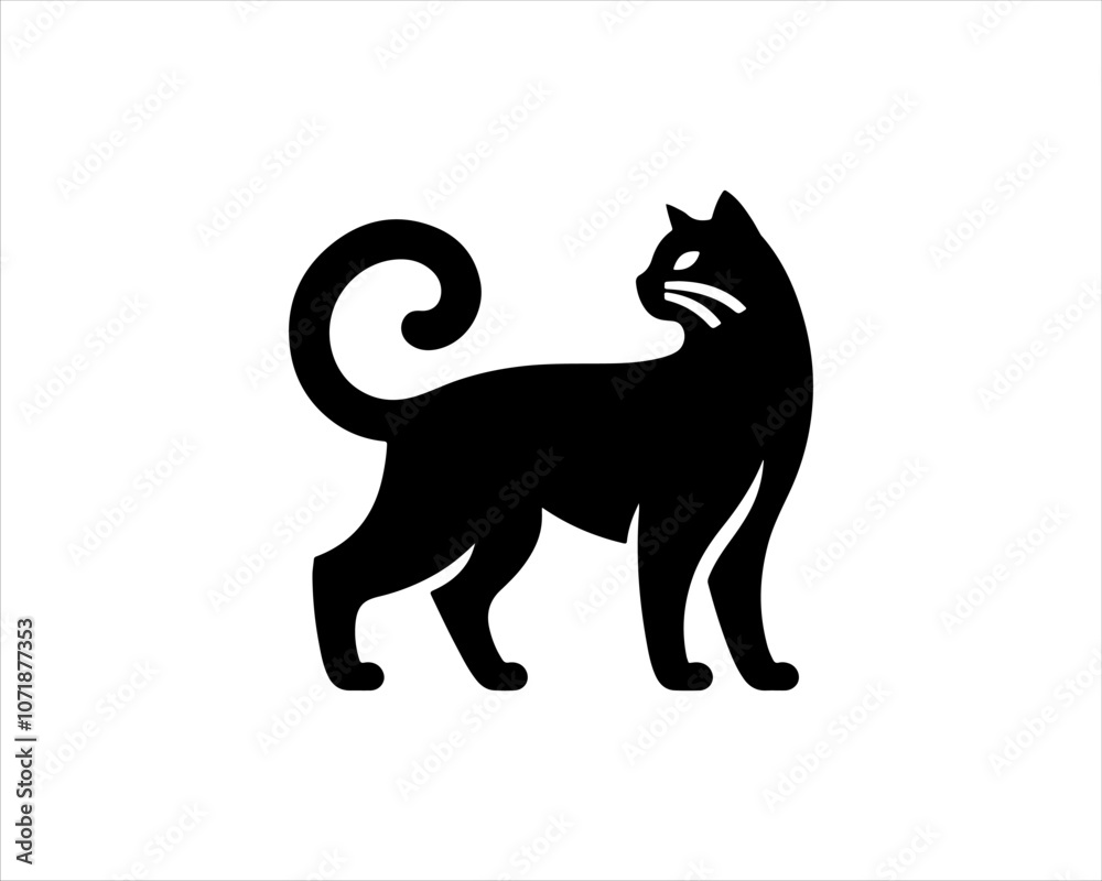 Obraz premium black cat silhouette