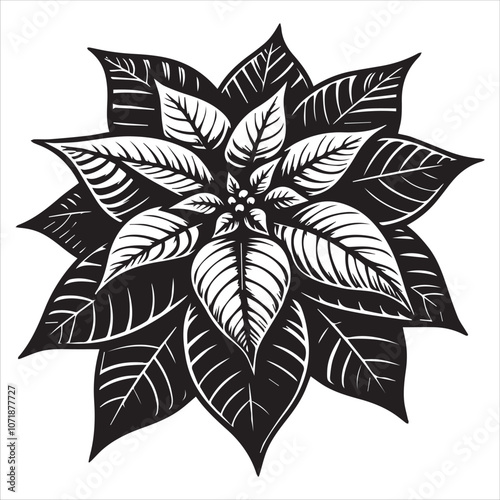 Striking Black and White Poinsettia Illustration for Festive Designs. This captivating black and white illustration features a poinsettia, a classic symbol of the holiday season.