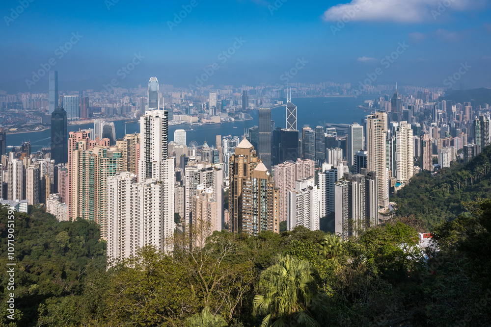Fototapeta premium A panoramic view of Hong Kong dense cityscape, showcasing towering skyscrapers and a lush green hillside. The blue sky with a single fluffy cloud provides a picturesque backdrop.