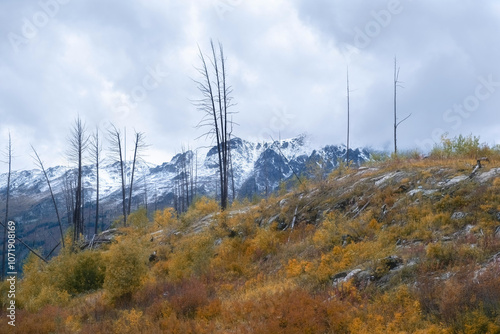 Altai mountains in the colorful autumn period in the East Kazakhstan region in Katon Karagay photo