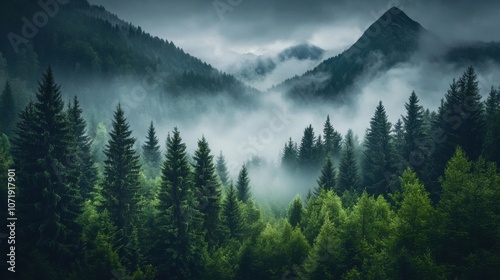 Mysterious mountain landscape enveloped in mist, featuring lush green forests and towering peaks.