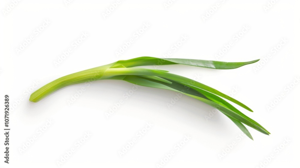 Fototapeta premium Fresh Green Onion on White Background