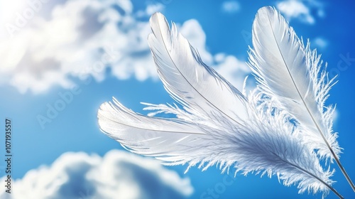 Gorgeous White Feathers Gliding Gracefully Against a Captivating Blue Sky Background