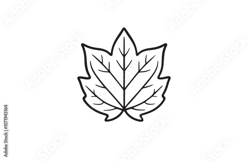Leaf silhouette vector outline illustration logo design