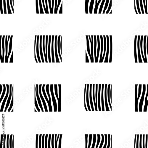 Seamless pattern with zebra on a white background