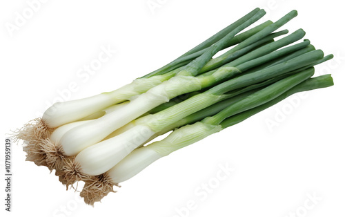 PNG object on clear backdrop. A neatly arranged bunch of fresh spring onions, perfect for adding flavor and crunch to dishes. Isolated on transparent background. photo