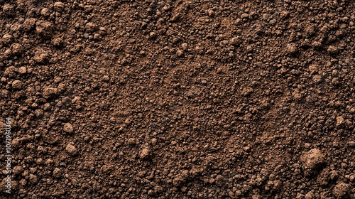 Obraz na płótnie Rich brown soil texture, natural background. w salonie