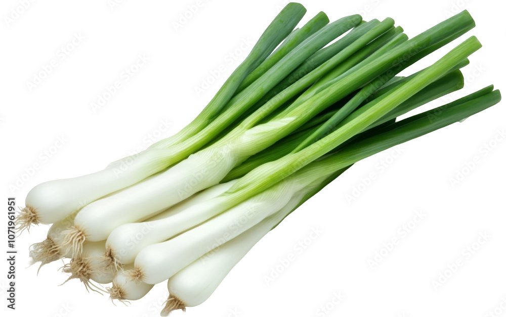 Obraz premium PNG object on clear backdrop. A bunch of fresh spring onions showcasing their long green stems and white bulbs, perfect for salads. Isolated on transparent background.