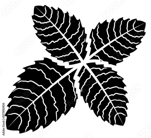 plant illustration peppermint silhouette leaf logo candy icon lollypop outline leaves food mint fresh green spearmint menthol natural nature shape and vector graphic background