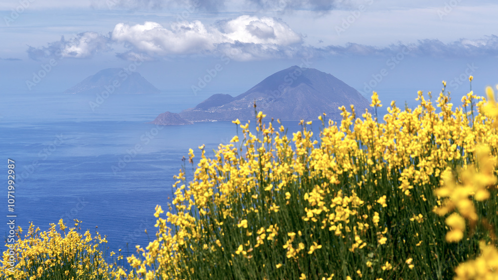 Monte Fossa delle Felci