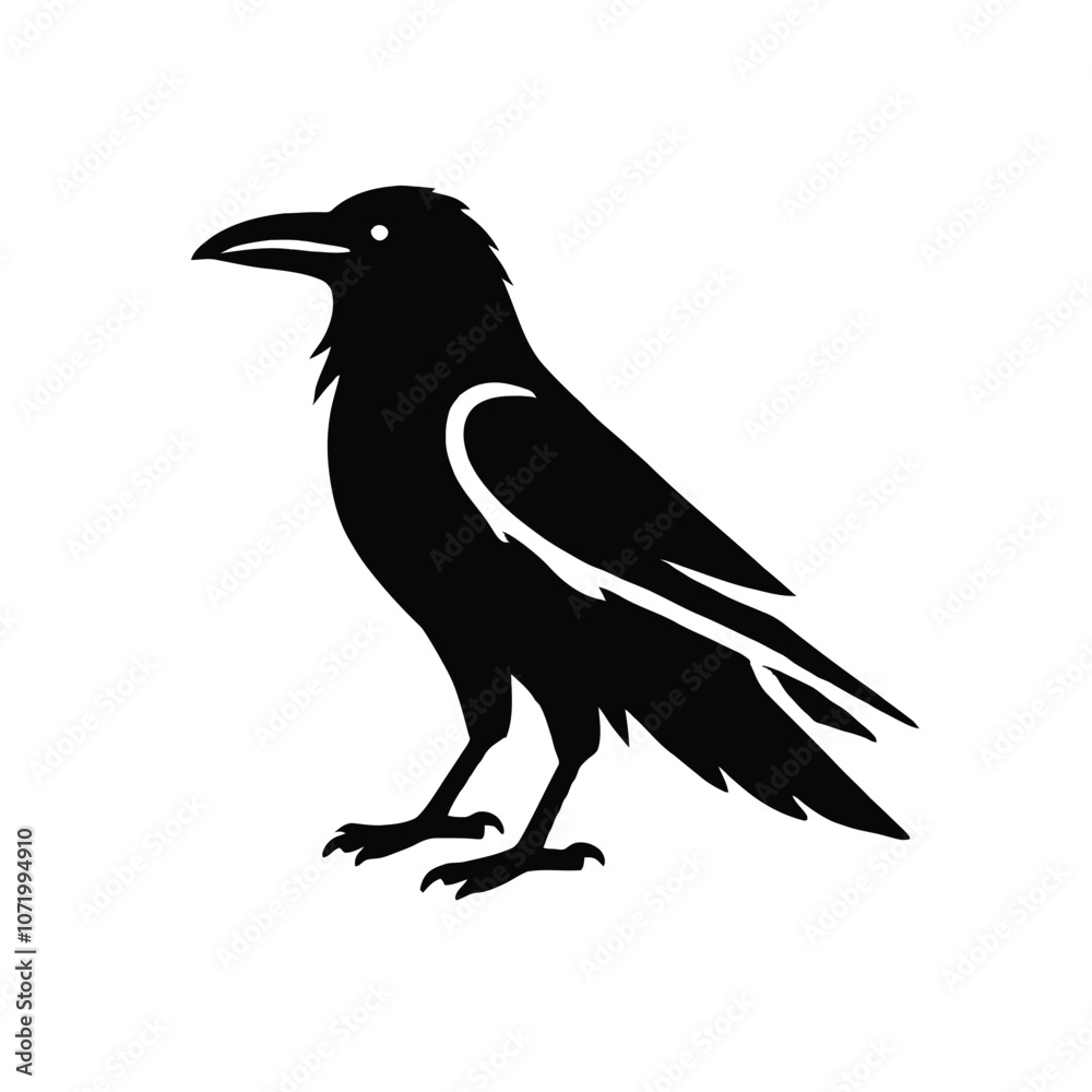 Obraz premium Silhouette Crow Raven
