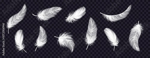 Feather bird realistic. Icon angel, transparent softness, tenderness texture. 3D plumage pen. Wing falling, fluffy plume soft. Elegant white quills, beauty art plumage. Vector beauty isolated set